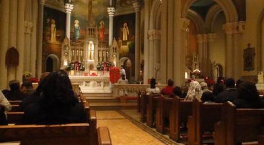 Mass8